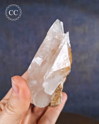 Angel Wing Calcite #6