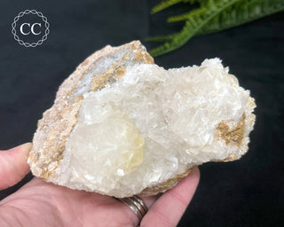 Angel Wing Calcite #2