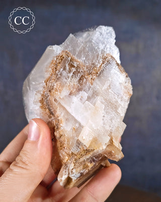 Angel Wing Calcite #6