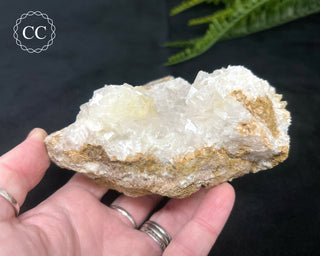 Angel Wing Calcite #2