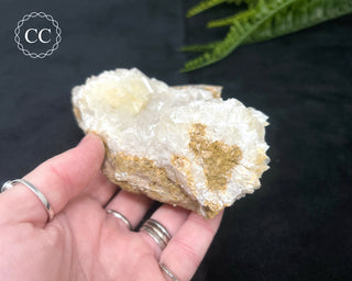 Angel Wing Calcite #2