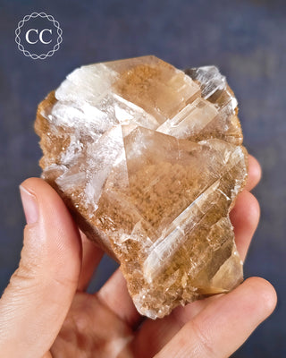 Angel Wing Calcite specimen from the more unusual location of Portugal. 