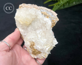 Angel Wing Calcite #2