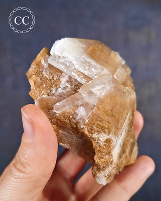 Angel Wing Calcite #8