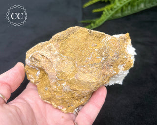 Angel Wing Calcite #2