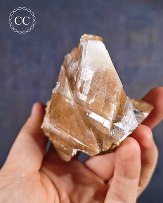 Angel Wing Calcite #8