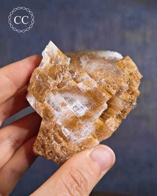 Angel Wing Calcite #8