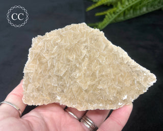Angel Wing Calcite #3