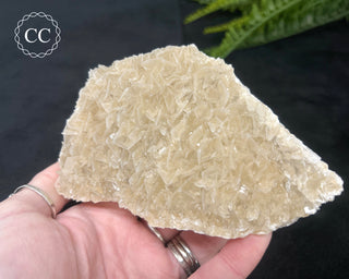 Angel Wing Calcite #3