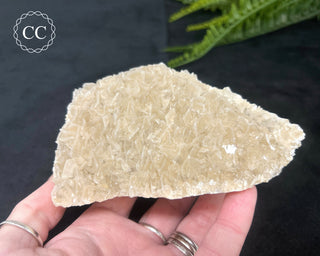 Angel Wing Calcite #3