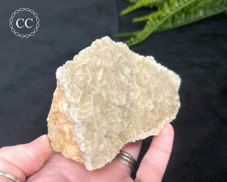 Angel Wing Calcite #3