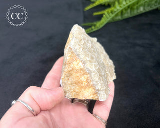 Angel Wing Calcite #3