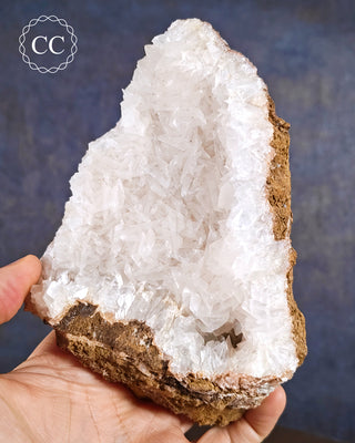 Angel Wing Calcite specimen from the more unusual location of Portugal. 