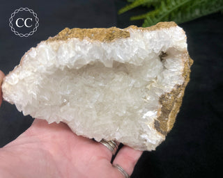 Angel Wing Calcite #1