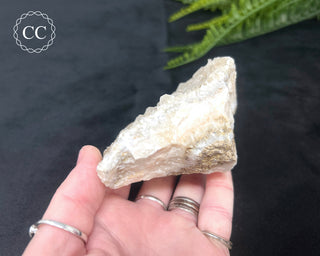 Angel Wing Calcite #3