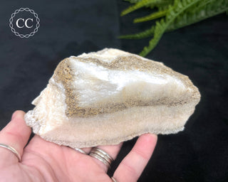 Angel Wing Calcite #3