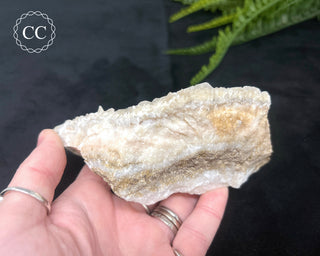 Angel Wing Calcite #3