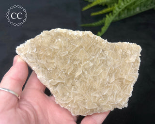 Angel Wing Calcite #3
