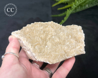 Angel Wing Calcite #3