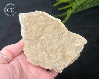 Angel Wing Calcite #3