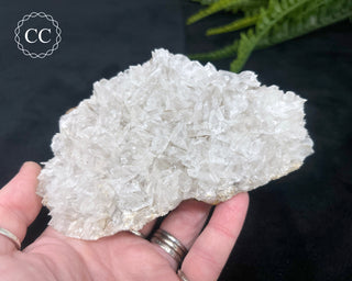 Angel Wing Calcite #4
