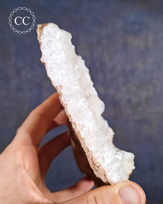 Angel Wing Calcite #1