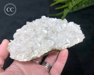 Angel Wing Calcite #4