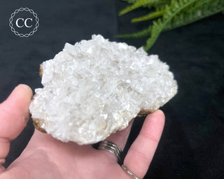 Angel Wing Calcite #4