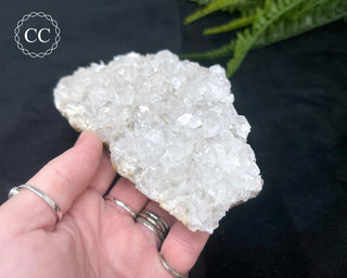 Angel Wing Calcite #4