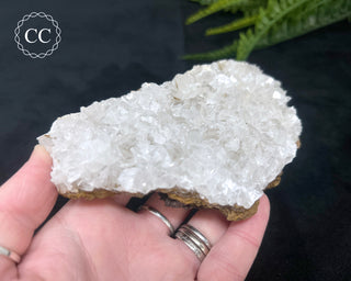 Angel Wing Calcite #4