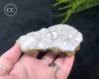 Angel Wing Calcite #4