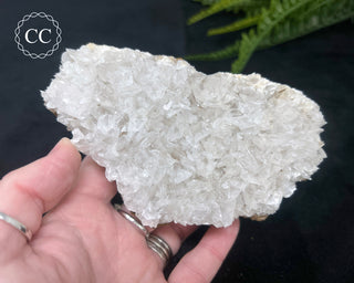Angel Wing Calcite #4