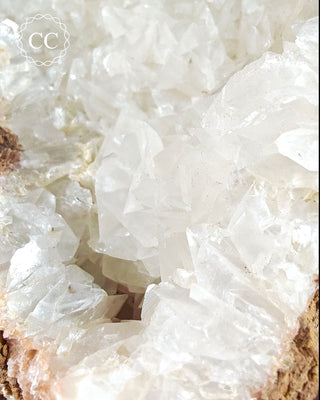 Angel Wing Calcite #1