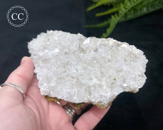 Angel Wing Calcite #4