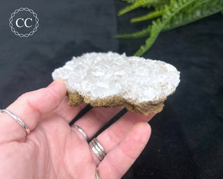 Angel Wing Calcite #4