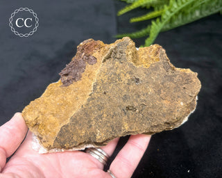 Angel Wing Calcite #4