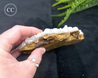 Angel Wing Calcite #4