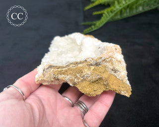 Angel Wing Calcite #1