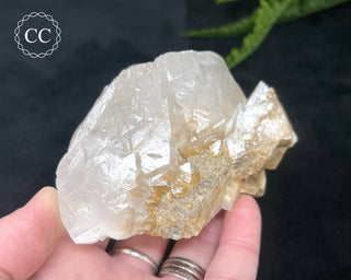 Angel Wing Calcite #6