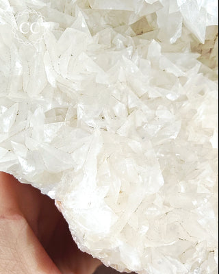 Angel Wing Calcite #1