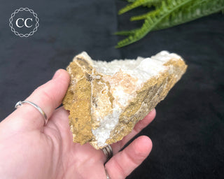 Angel Wing Calcite #1