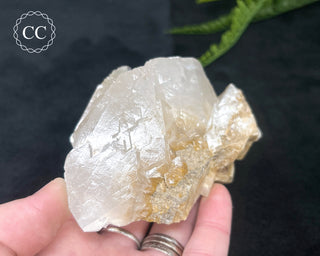 Angel Wing Calcite #6