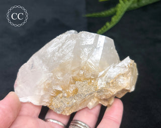 Angel Wing Calcite #6