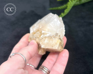 Angel Wing Calcite #6