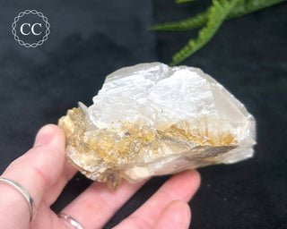 Angel Wing Calcite #6