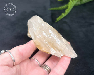 Angel Wing Calcite #6