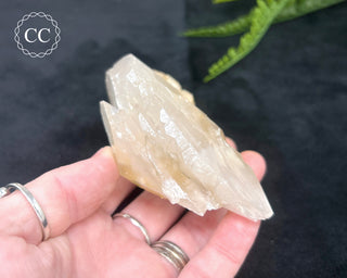 Angel Wing Calcite #6