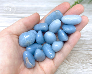  Angelite Tumbled Crystals in hand