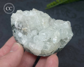 Apophyllite Cluster #1