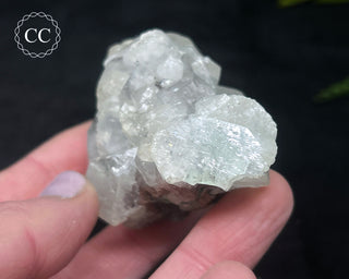 Apophyllite Cluster #11